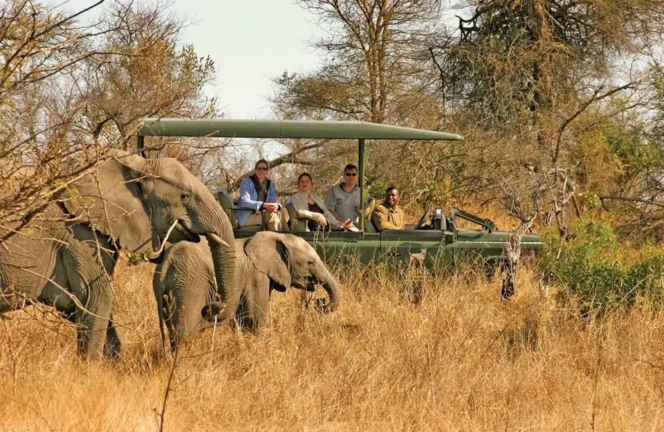 Jock Safari Lodge Game Drive